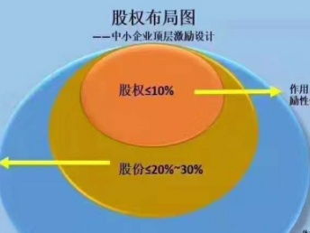 公司控制權(quán)與股權(quán)激勵(lì) 深圳企業(yè)管理中的創(chuàng)新實(shí)踐及非融資擔(dān)保服務(wù)的協(xié)同應(yīng)用